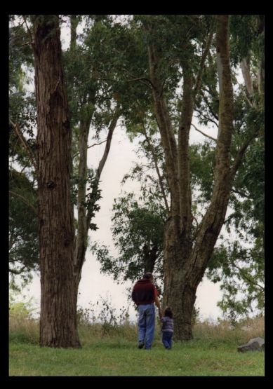 "Mi pap y yo..." de Carmen Nievas