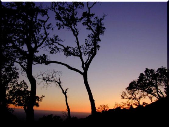 "Atardecer en La Montaa" de Csar Manrique