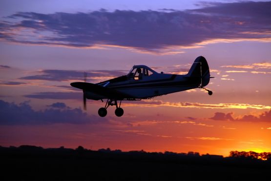 "Volar ante tu ocaso" de Marcela Franichevich