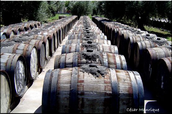 "Polvorn de Toneles" de Csar Manrique