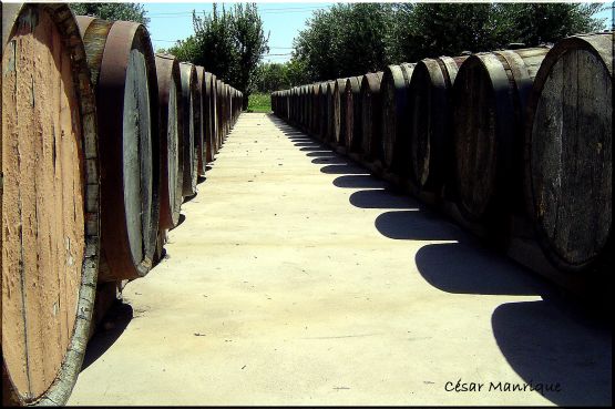 "Aejando" de Csar Manrique