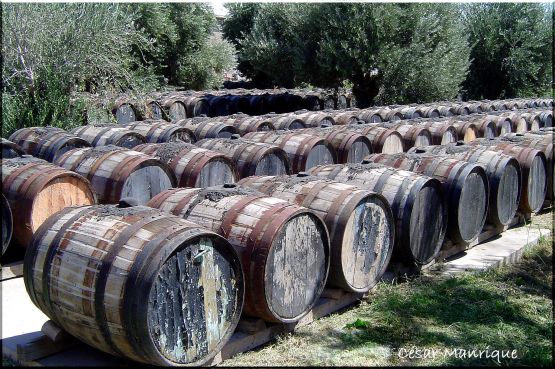 "Trinchera de Toneles I" de Csar Manrique