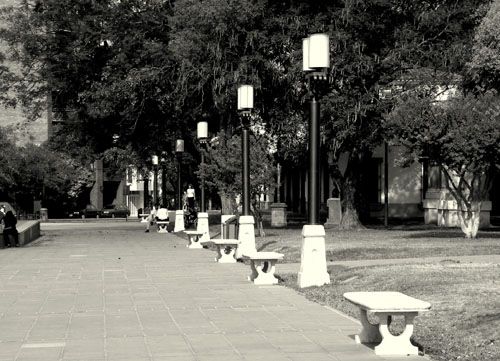 "la plaza" de Ariel Dario Albamonte