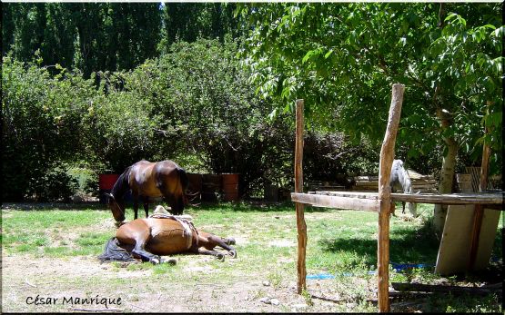 "Remoln" de Csar Manrique