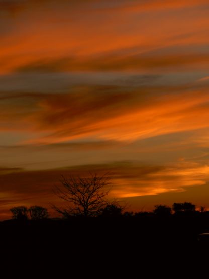 "Atardecer en el campo" de Jorge Berterretch