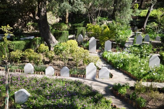 "cementerio de Trafalgar" de Marcelino Alonso