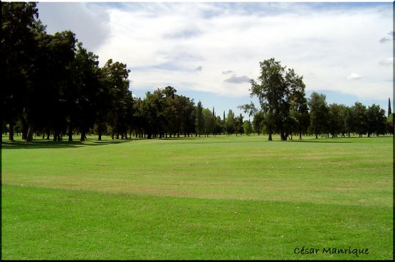 "Juguemos Al Golf" de Csar Manrique