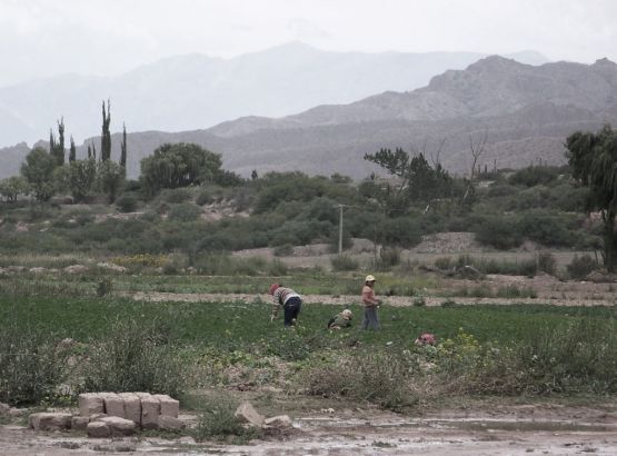 "Trabajando la tierra" de Diana Ruscio