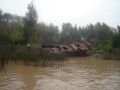 Abandonado en El Tigre