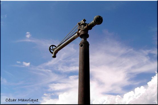 "Grifos del Cielo" de Csar Manrique