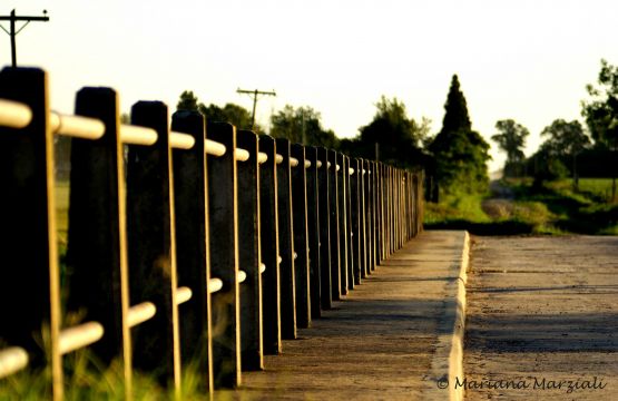 "Puente rural" de Mariana Marziali