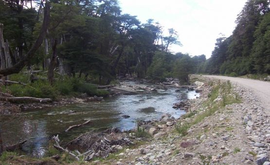 "Un rio en el camino..." de Diana Ruscio