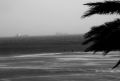 ` Viento en la playa`