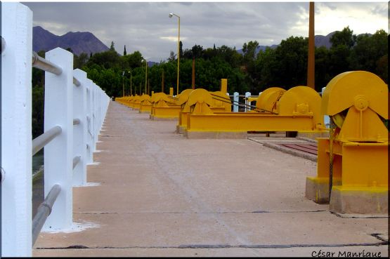 "Patos al Agua I" de Csar Manrique