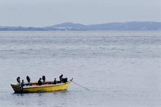 "La barca sin pescador...2" de Daniela Liska