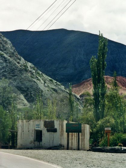 "Mimetizado con el paisaje" de Martha A. Moreschi