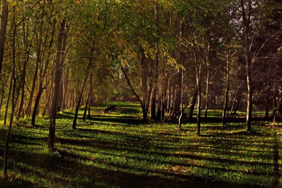 "`Campamento`...lugar del `Encuentro Fotorevistero`" de Jorge A. Cceres