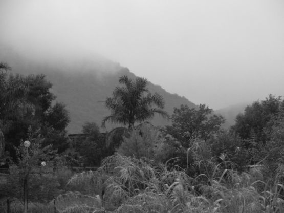 "Cuando llovizna en el cerro..." de Jorge Berterretch