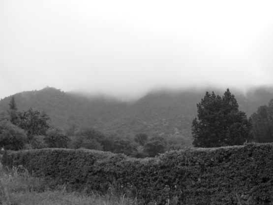 "Cuando llovizna en el cerro II" de Jorge Berterretch