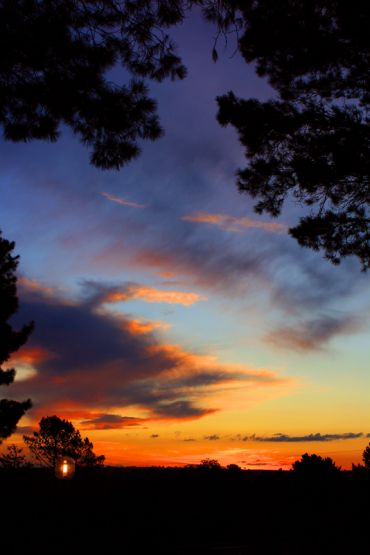 "Atardecer en el fondo de casa" de Stella Maris Kippke