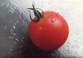 TOMATE FRESCO