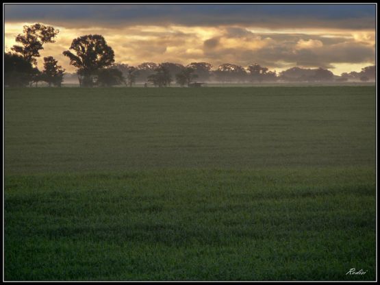 "Nueva pradera" de Roberto Di Siervi