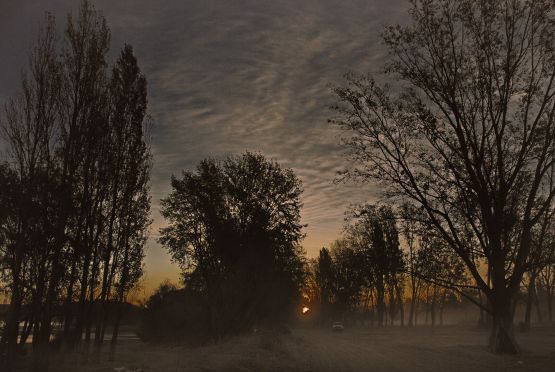 "`Camino e... tierra`" de Jorge A. Cceres