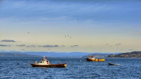 "Pescadores" de Ricardo Baigorria