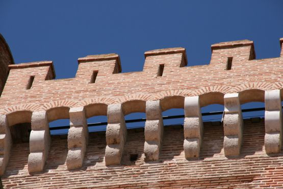 "Castillo de la Mota" de Alberto Gonzlez