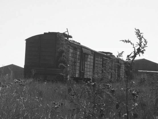 "el viejo ferrocarril" de Luca Rif