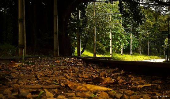 "Nos trilhos..." de Orlando Carisio