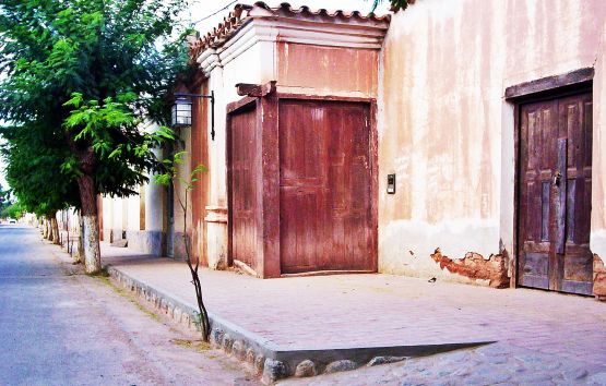 "Calle arbolada" de Martha A. Moreschi