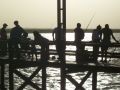 pesca en el puente de San Blas