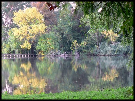 "Pequeo lago" de Roberto Di Siervi