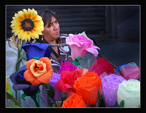 "Entre flores" de Carlo Legnazzi