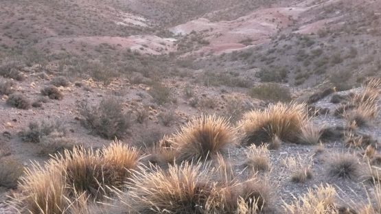 "colores de la tierra" de Noemi Gomez