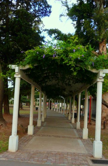 "la glorieta" de Noemi Gomez