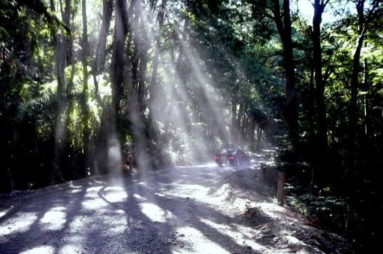 "luz en camino" de Noemi Gomez