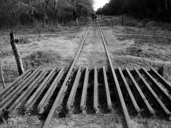 "Caminando por las vias" de Claudia Vicchio