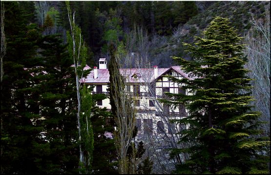 "En  El Bosque" de Csar Manrique