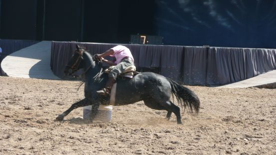 "cabalgando en la arena" de Noemi Gomez