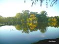 Reflejos en otoo.