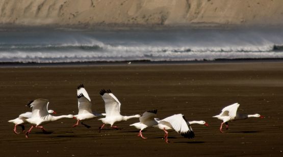 "rada tilly I" de Pablo Kirilovsky