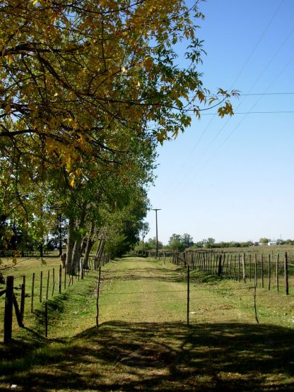 "Tarde de otoo en el campo" de Jorge Berterretch