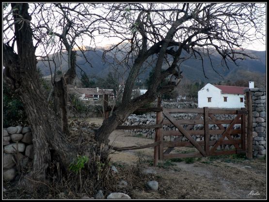 "La finca de Anselmo" de Roberto Di Siervi