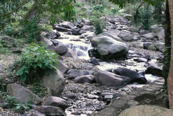 "el otoo comienza en el bosque" de Noemi Gomez