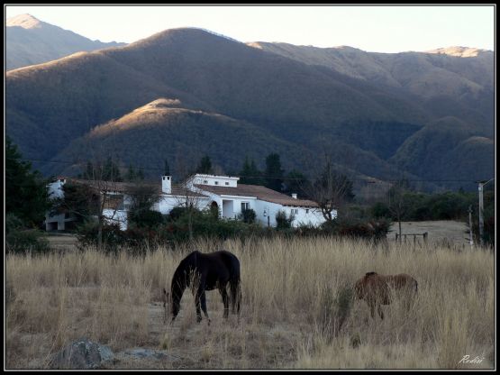 "La finca de Anselmo II" de Roberto Di Siervi