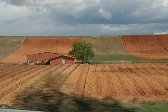 "Campos de Castilla" de Alberto Gonzlez