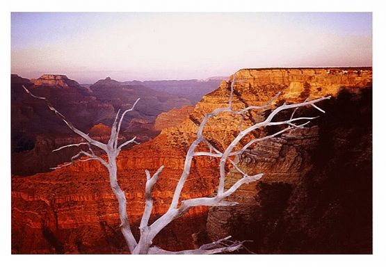 "Grand Canyon" de Carlos Rafael