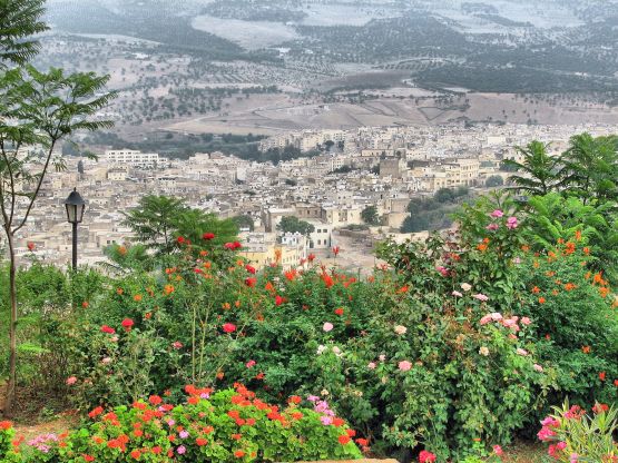 "La Medina en Fez" de Manuel Raul Pantin Rivero